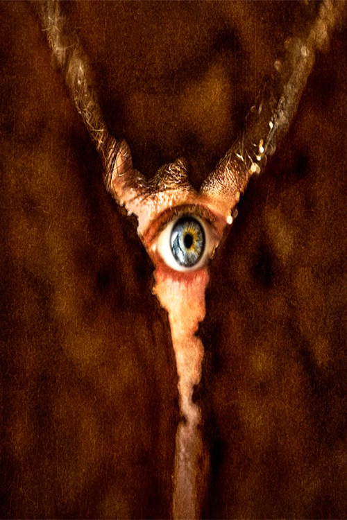 Retour à Silent Hill